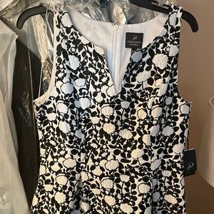 NWT Adrianna Papell black and white dress